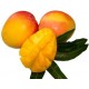 Kvetoucí čaj - MANGO - 2